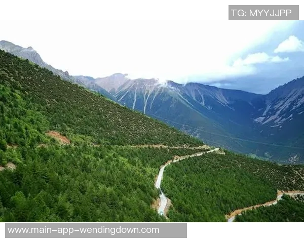 问鼎娱乐线路-问鼎娱乐线路，引领新时代的休闲体验之旅-问鼎娱乐线路